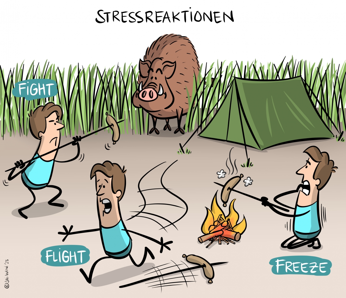 Bild 1: Stressreaktionen anhand der Fight-Flight-Freeze Theorie.