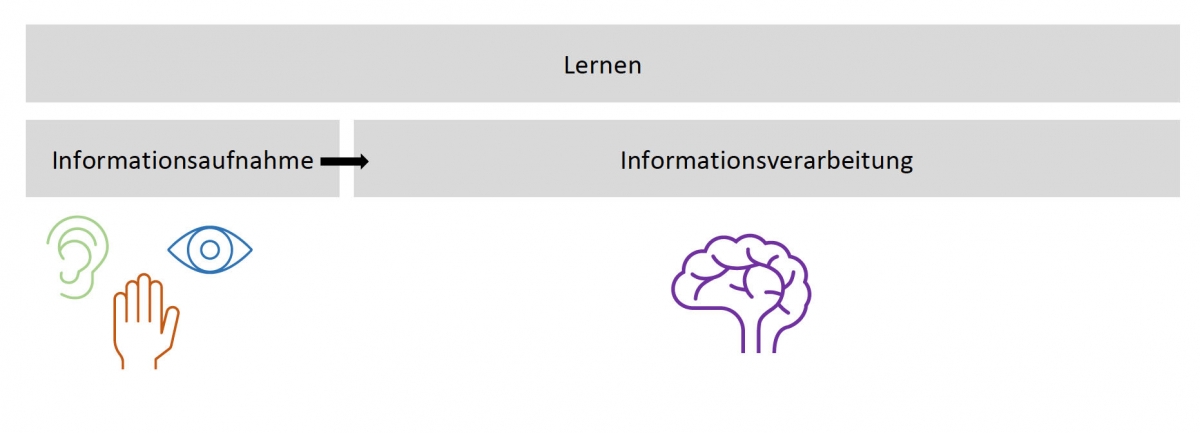 Bild 3: Lernen im Prozess der Informationsaufnahme und -verarbeitung Bild 3: Lernen im Prozess der Informationsaufnahme und -verarbeitung