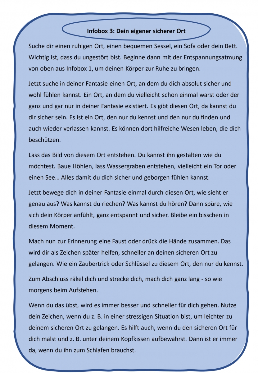 Bild 10: Infobox 3