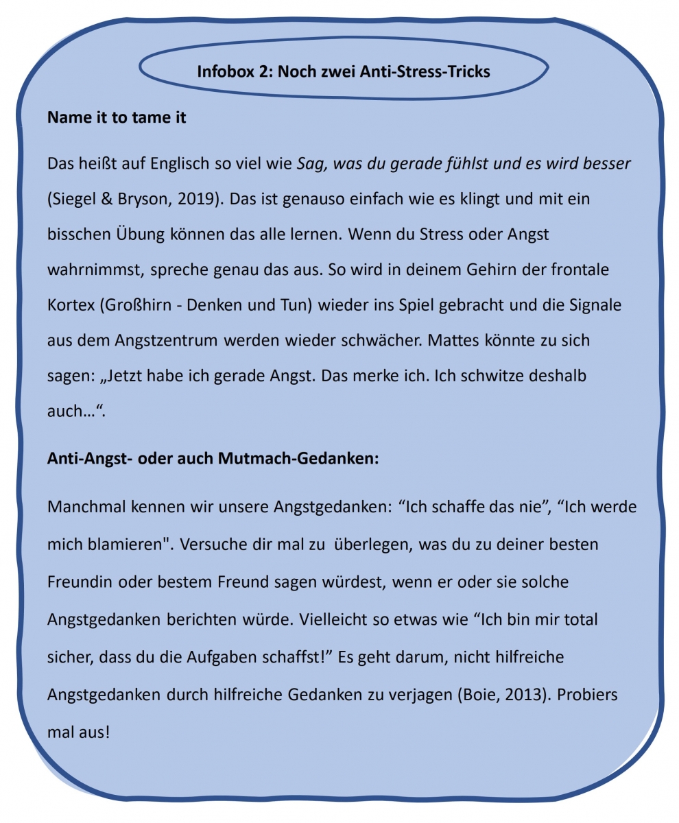 Bild 8: Infobox 2