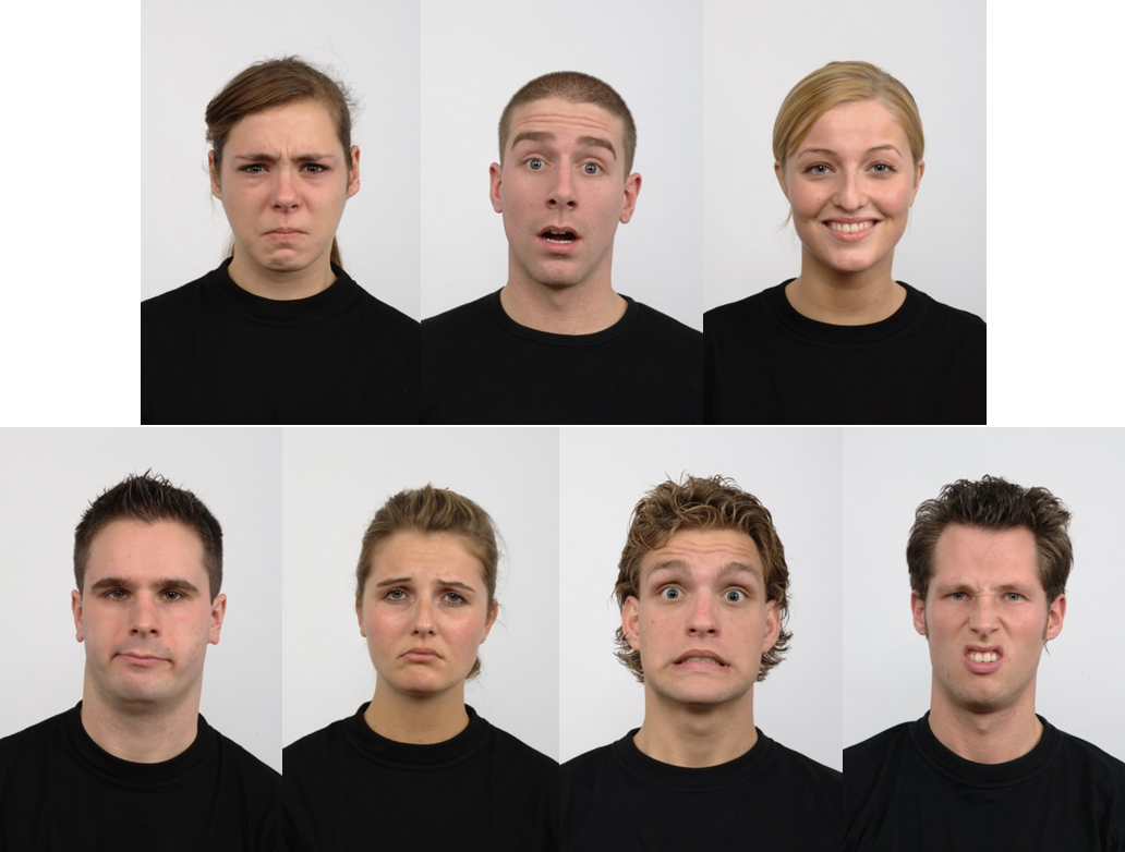 Die Basisemotionen von oben links nach unten rechts: Ärger, Überraschung, Freude, Verachtung, Trauer, Angst und Ekel.Bild: entnommen von Langner et al. (2010), http://www.socsci.ru.nl:8180/RaFD2/RaFD?p=main