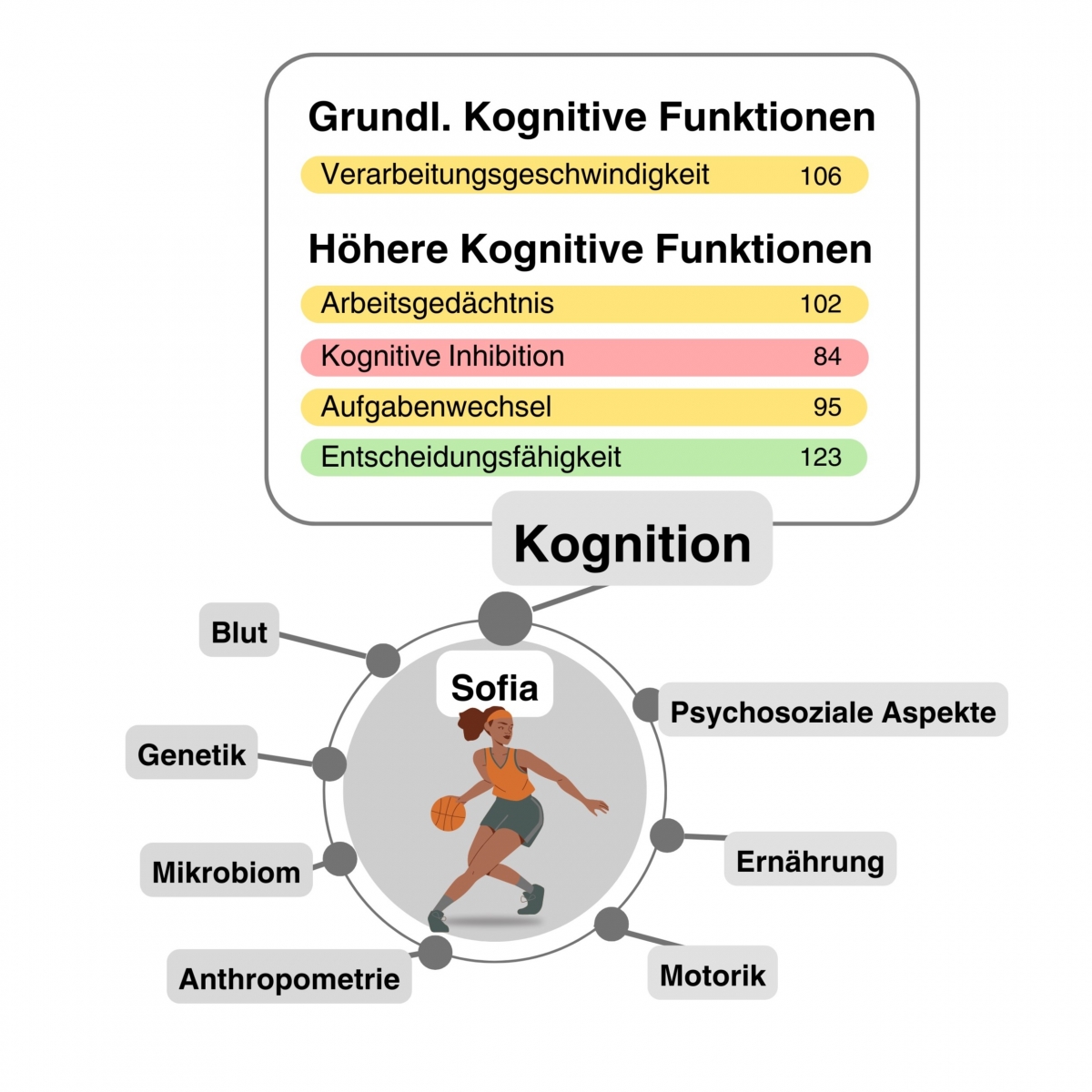 Abbildung 1: Multidisziplinäre Entwicklung von Sportler:innen mit Fokus auf kognitive Funktionen