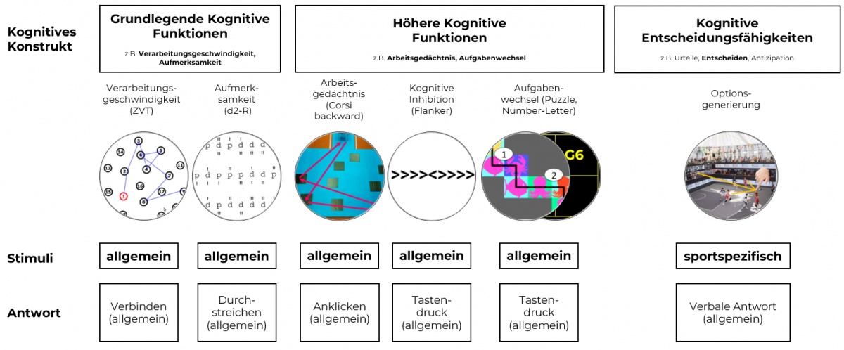 Abbildung 2: Darstellung der kognitiven Funktionen und der Art und Weise, wie sie im Forschungsprojekt gemessen werden.